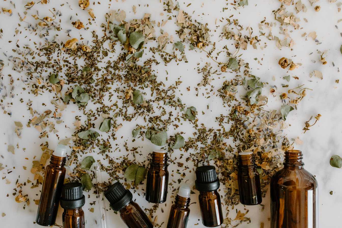 huile essentielle fourmi 5 solutions naturelles qui fonctionnent vraiment 1