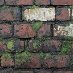 mur humide 7 signes revelateurs et solutions efficaces pour 1